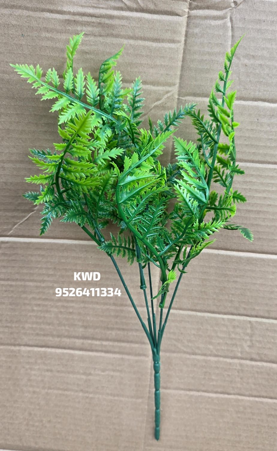 whatsapp image 2026 03 16 at 3.41.20 pm (1)