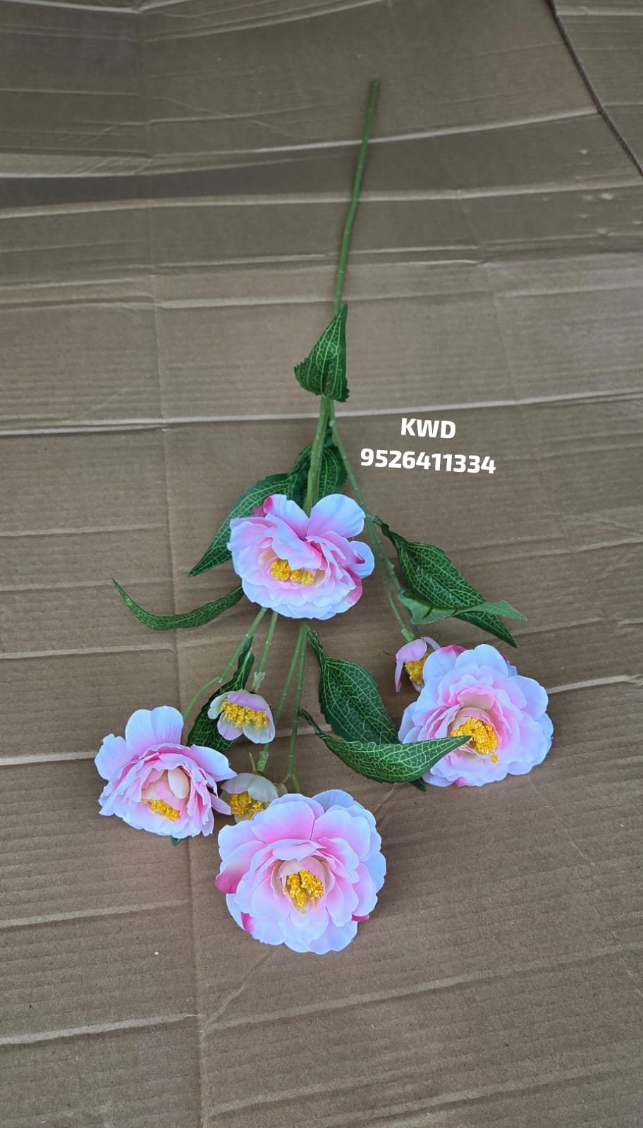 whatsapp image 2026 03 16 at 3.41.20 pm