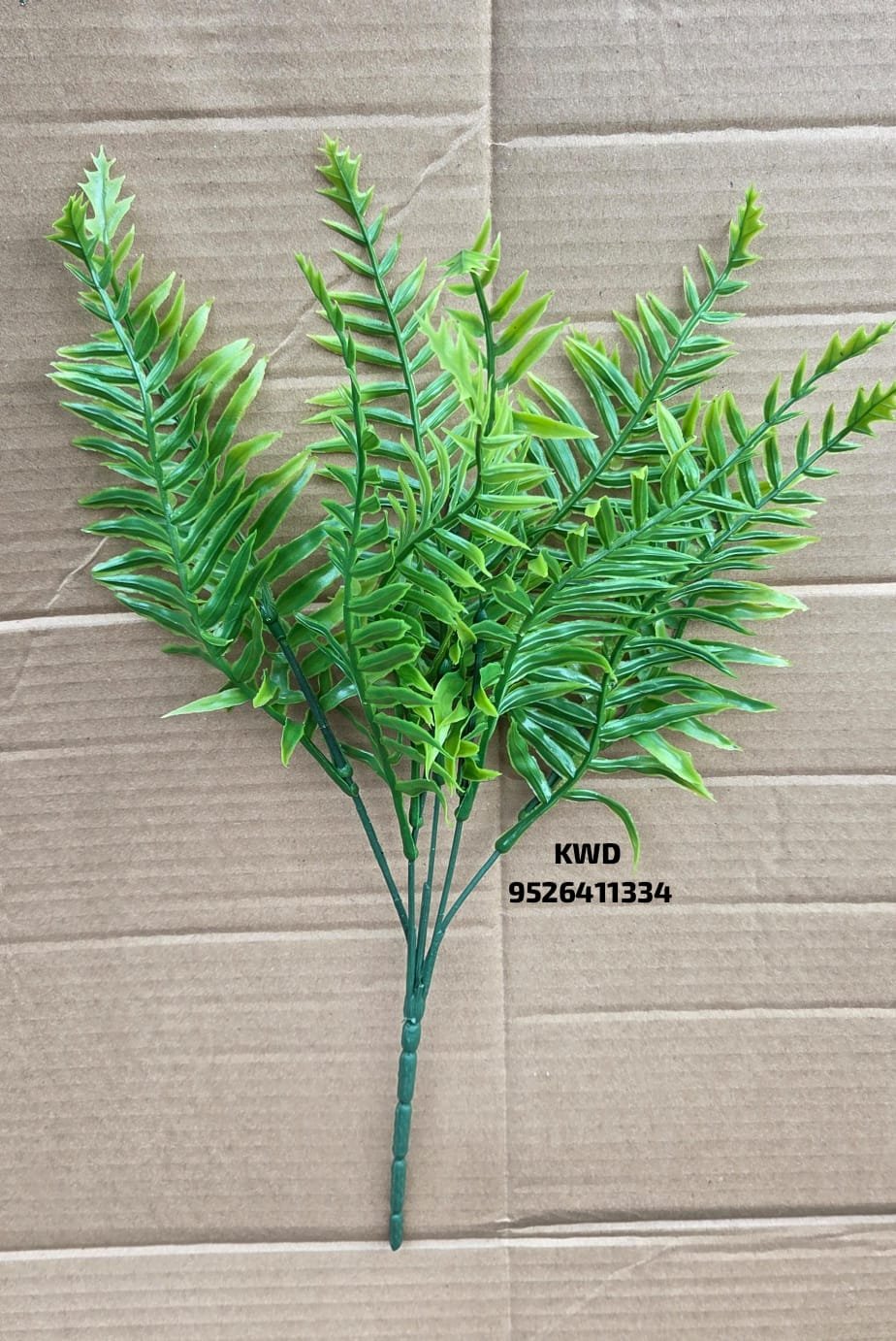 whatsapp image 2026 03 16 at 3.41.21 pm (1)