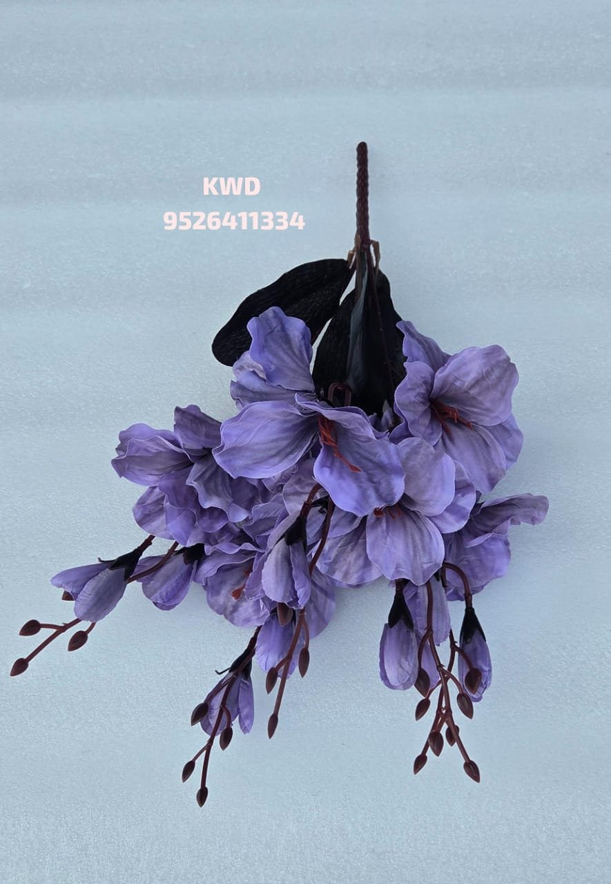 whatsapp image 2026 03 16 at 3.41.22 pm (1)