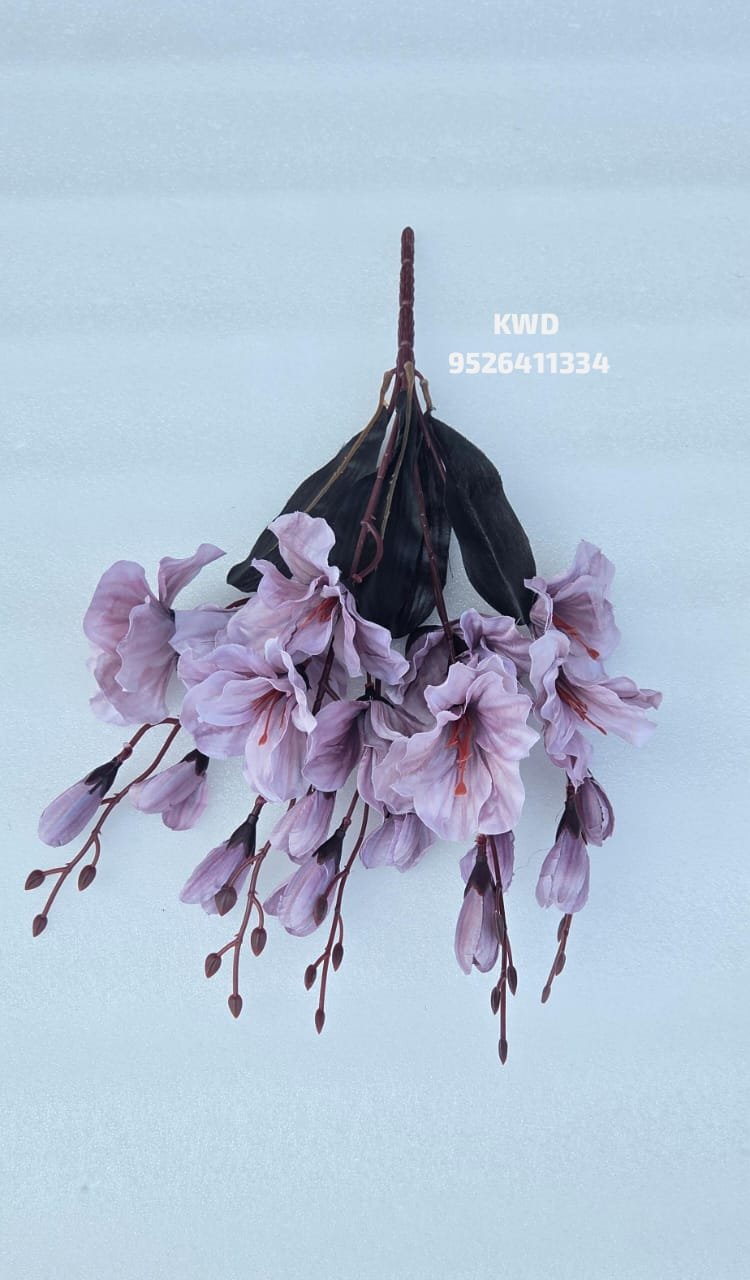 whatsapp image 2026 03 16 at 3.41.22 pm