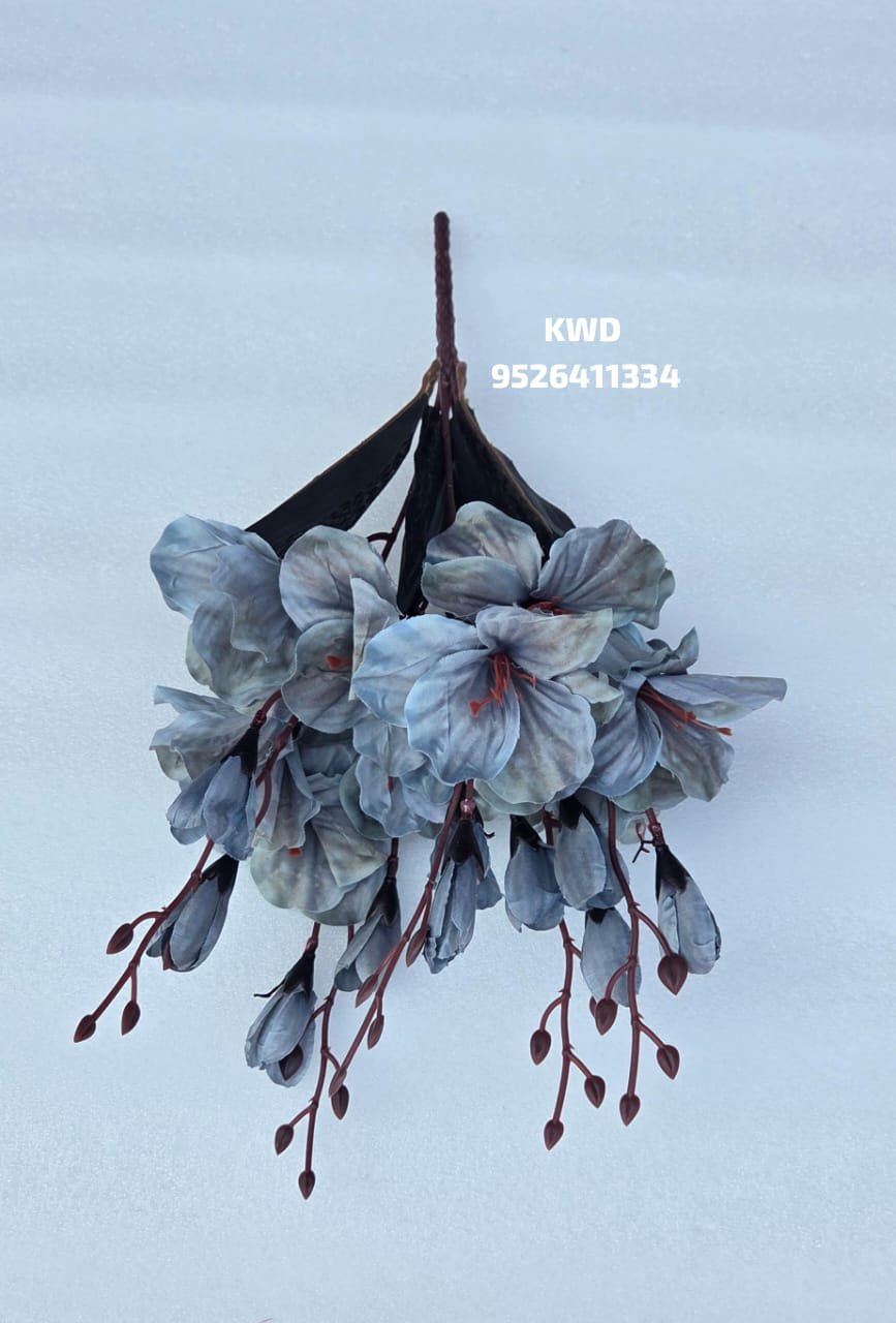 whatsapp image 2026 03 16 at 3.41.23 pm