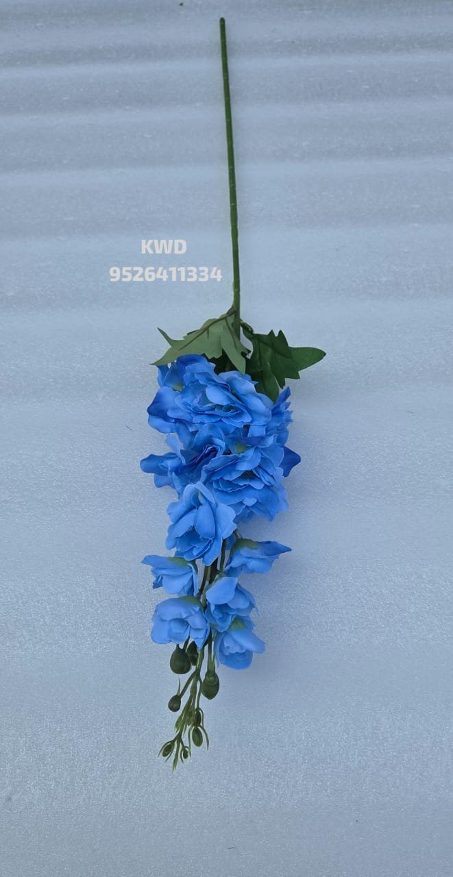 whatsapp image 2026 03 16 at 3.41.26 pm (1)