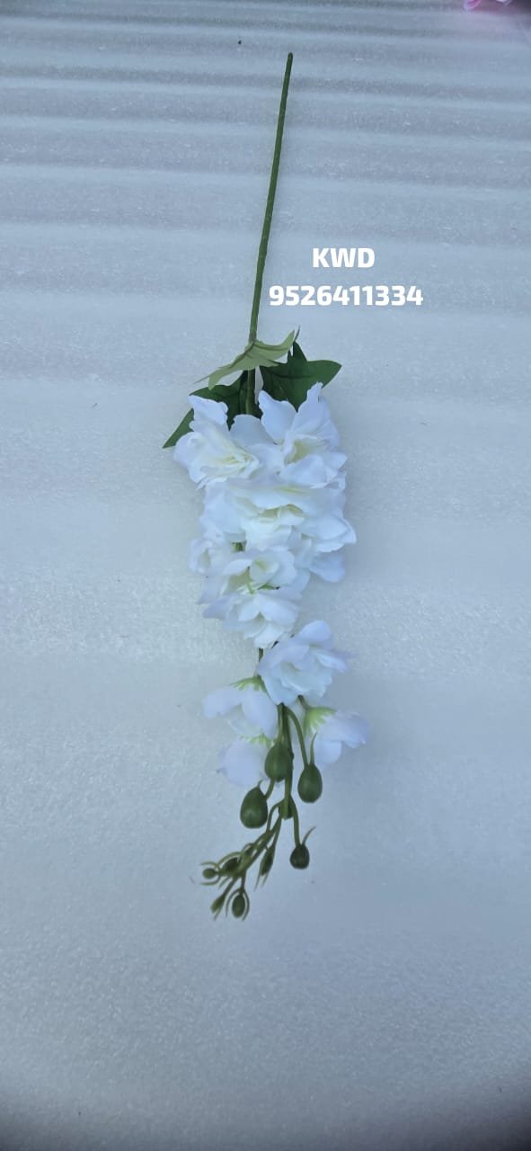 whatsapp image 2026 03 16 at 3.41.26 pm