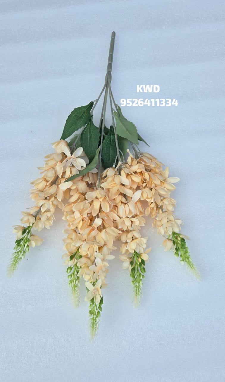 whatsapp image 2026 03 16 at 3.41.27 pm (1)