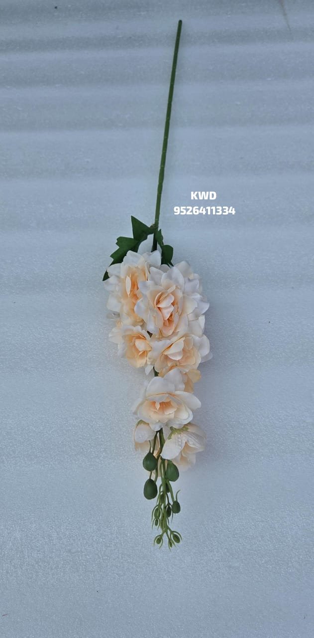 whatsapp image 2026 03 16 at 3.41.27 pm