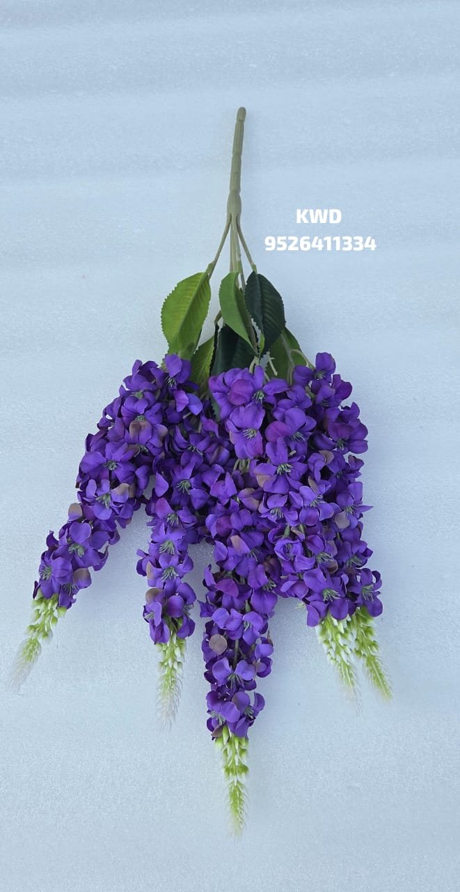 whatsapp image 2026 03 16 at 3.41.28 pm