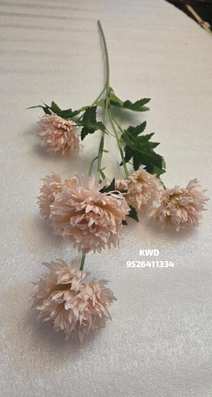 whatsapp image 2026 03 16 at 3.41.30 pm