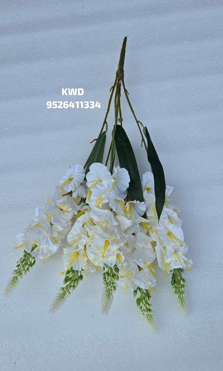 whatsapp image 2026 03 16 at 3.41.31 pm (1)