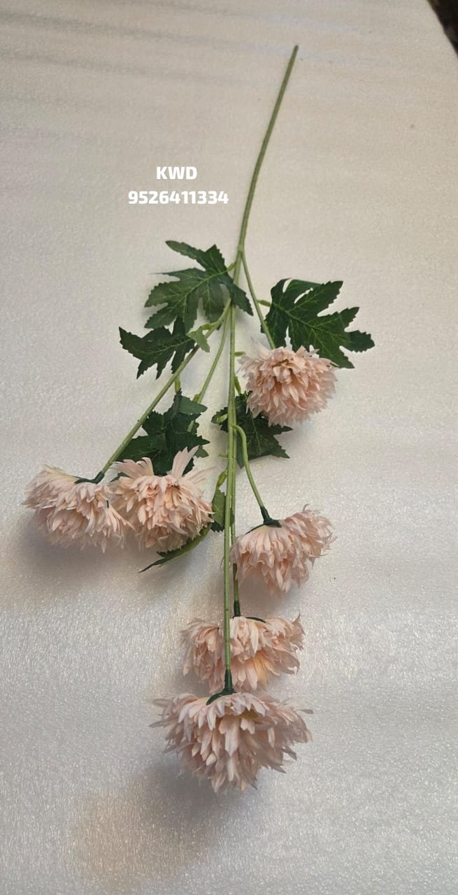 whatsapp image 2026 03 16 at 3.41.31 pm