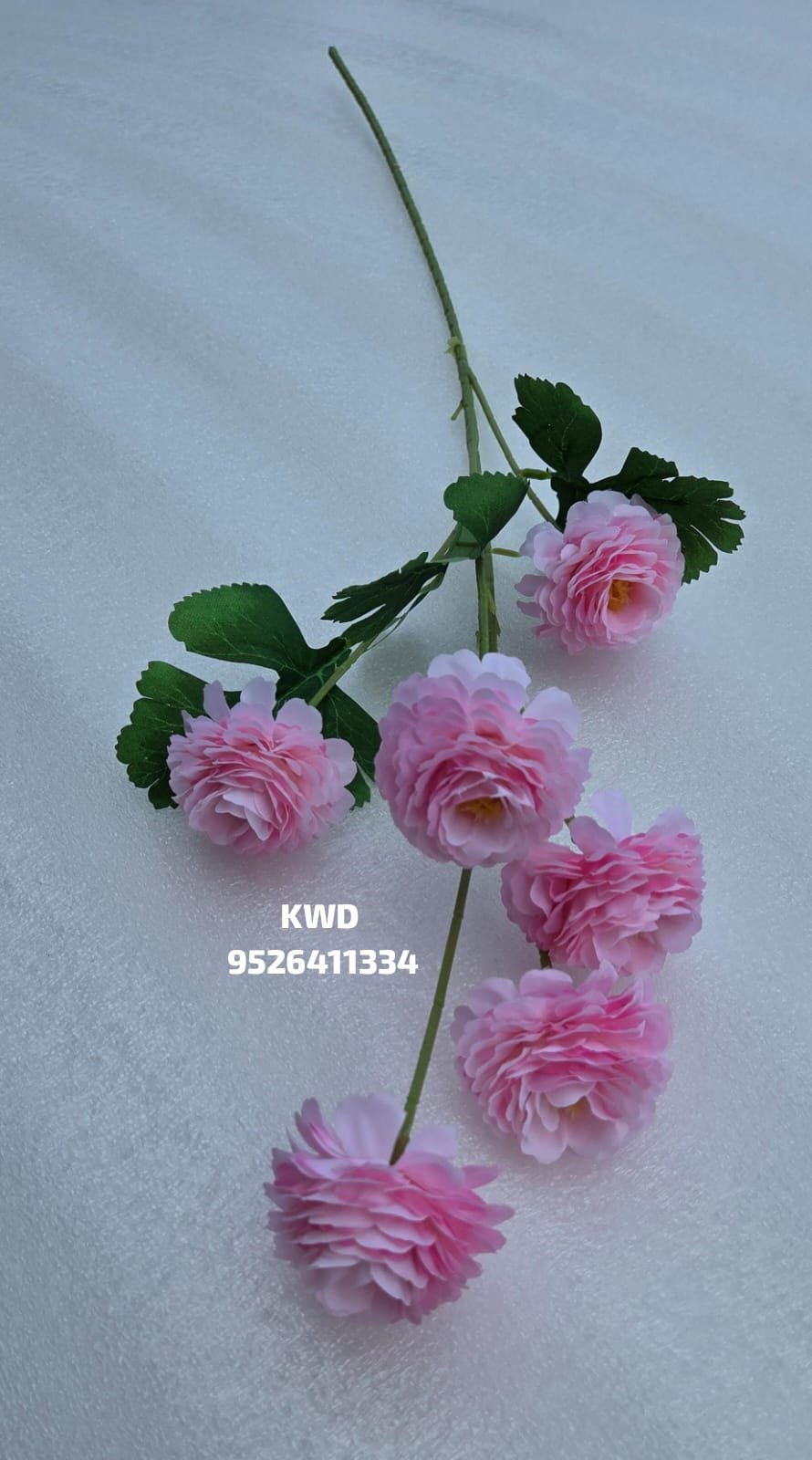 whatsapp image 2026 03 16 at 3.41.32 pm