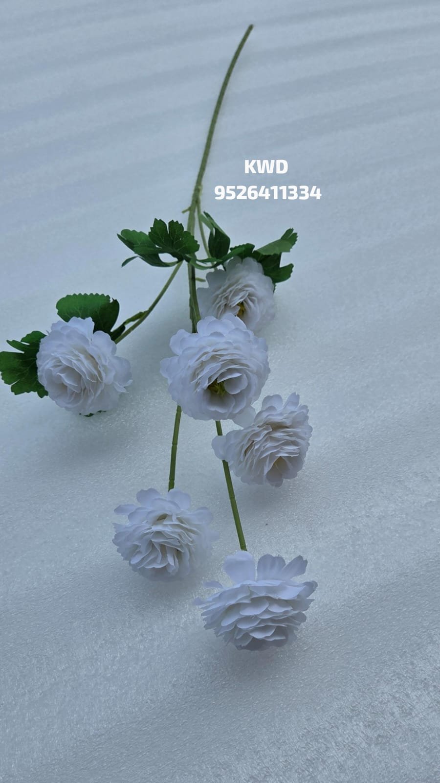 whatsapp image 2026 03 16 at 3.41.34 pm