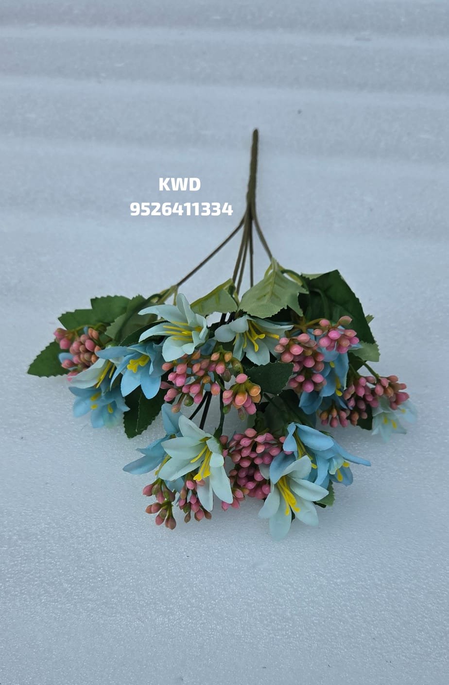 whatsapp image 2026 03 16 at 3.41.35 pm (1)