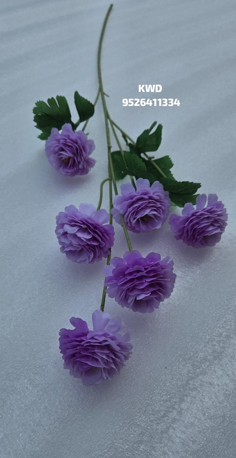 whatsapp image 2026 03 16 at 3.41.35 pm