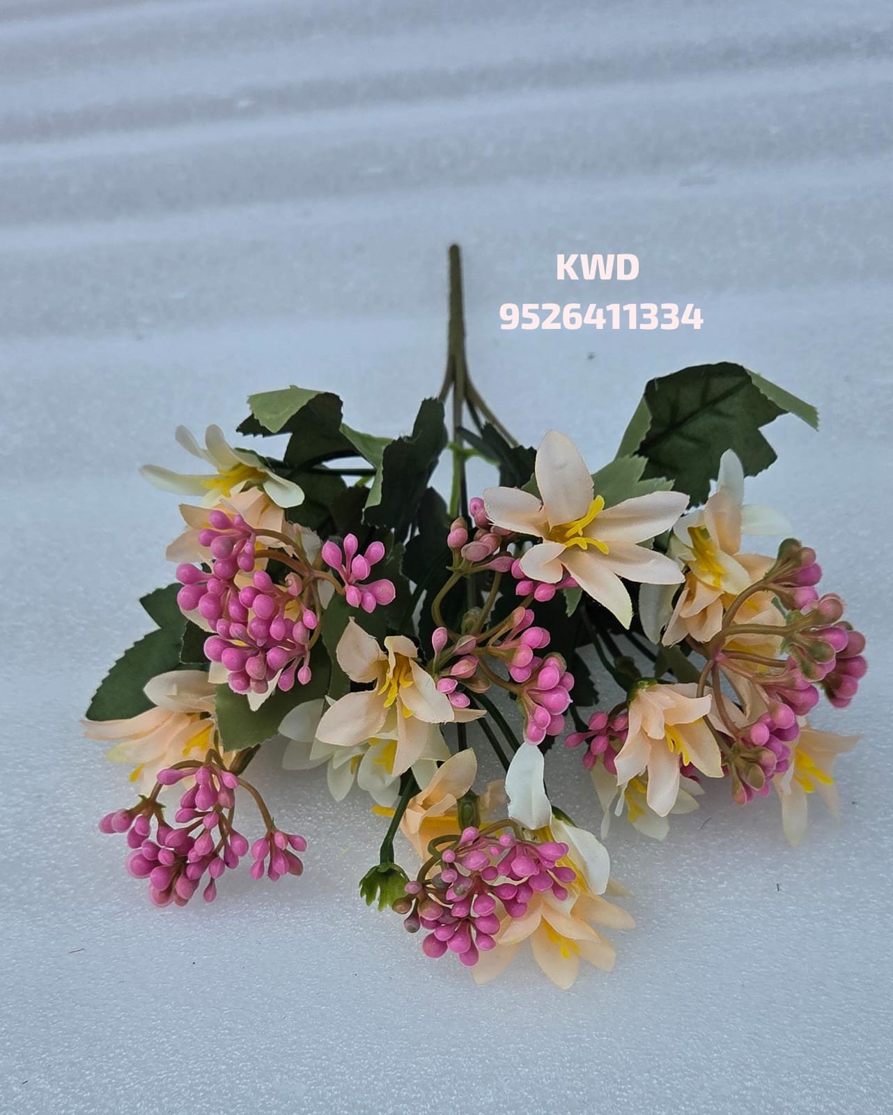 whatsapp image 2026 03 16 at 3.41.36 pm