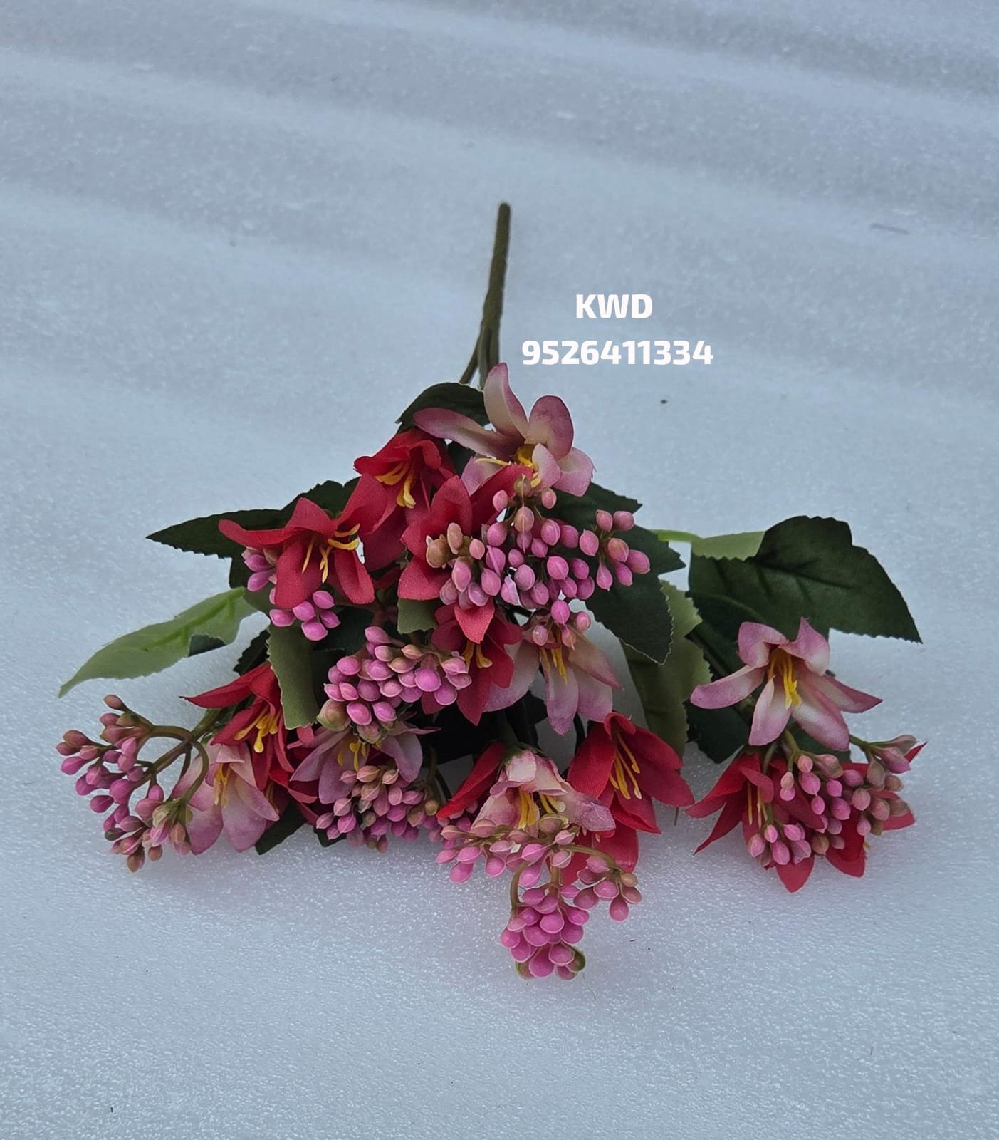 whatsapp image 2026 03 16 at 3.41.37 pm