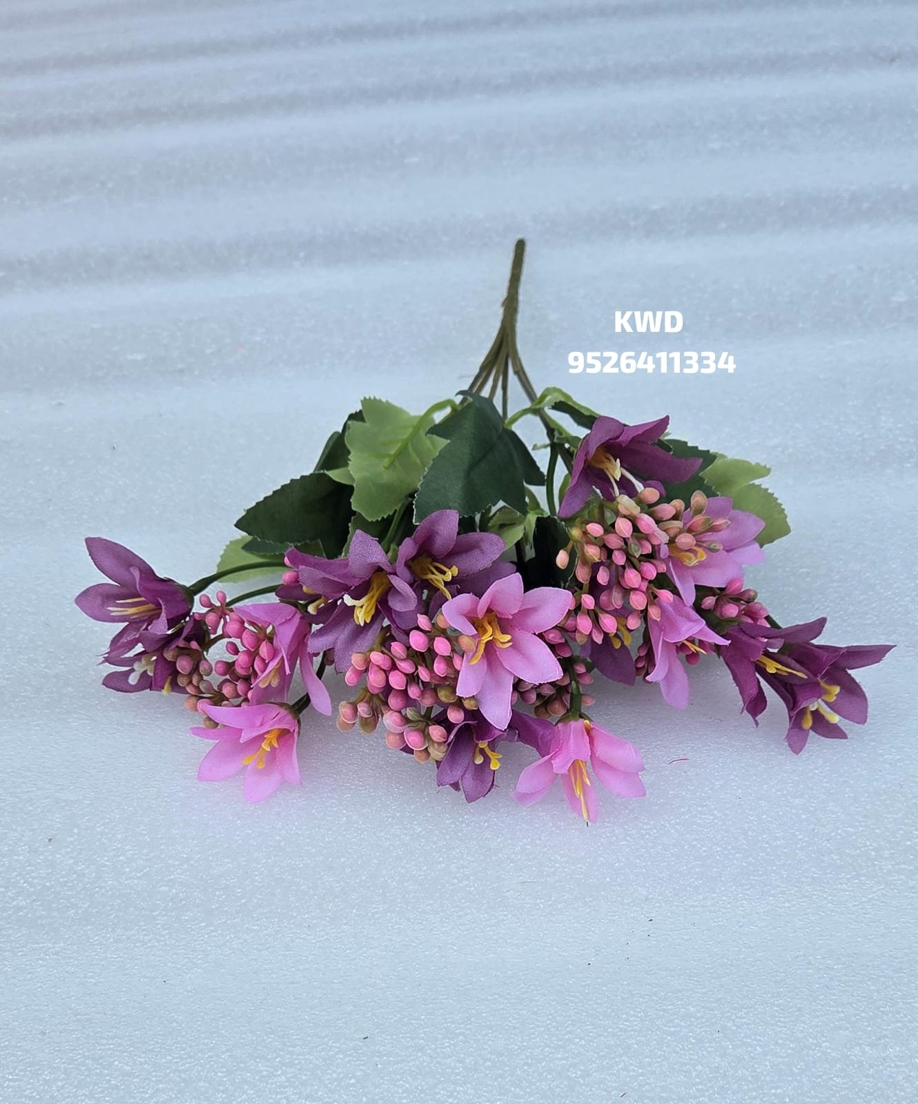 whatsapp image 2026 03 16 at 3.41.38 pm