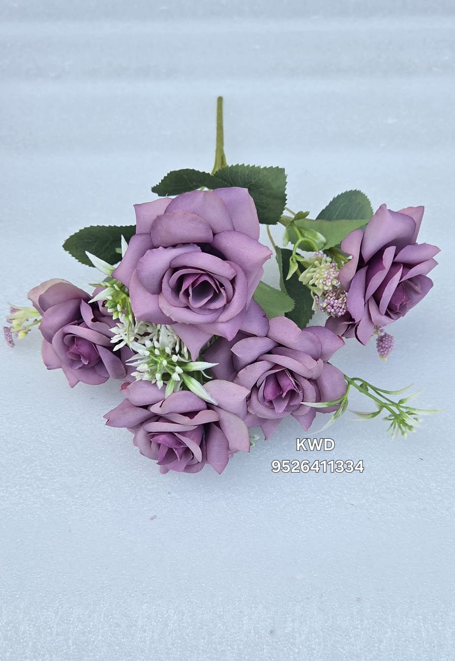 whatsapp image 2026 03 16 at 3.41.40 pm