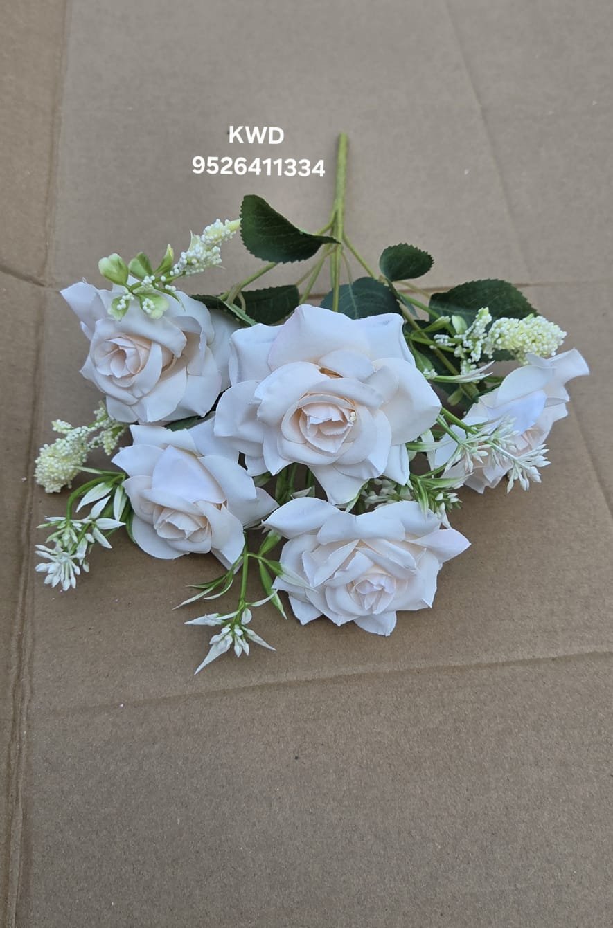 whatsapp image 2026 03 16 at 3.41.41 pm