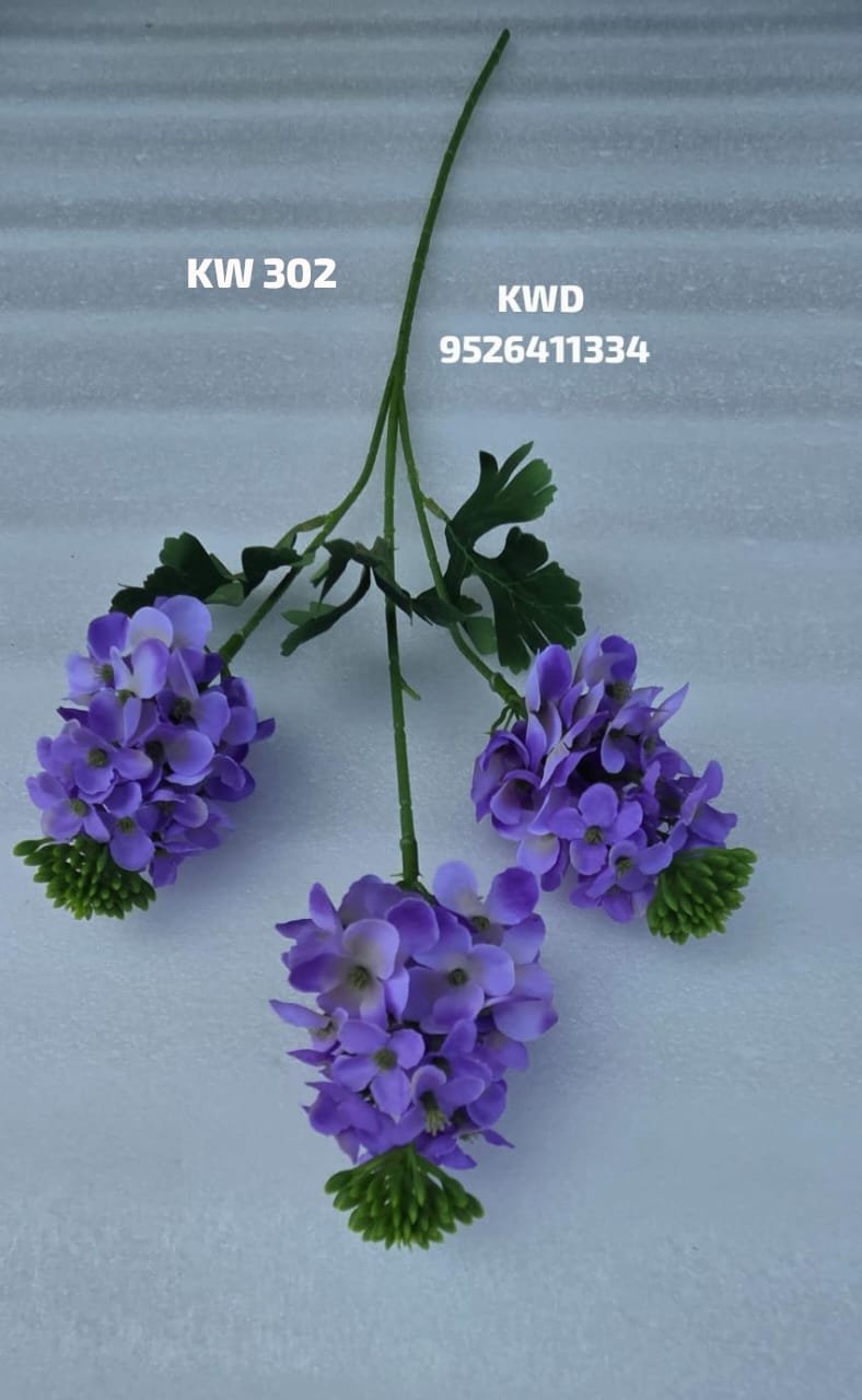 whatsapp image 2026 03 16 at 3.41.55 pm