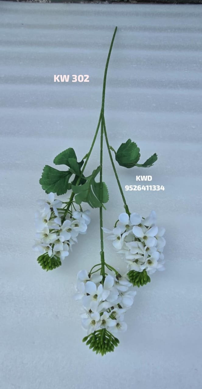 whatsapp image 2026 03 16 at 3.41.56 pm (2)