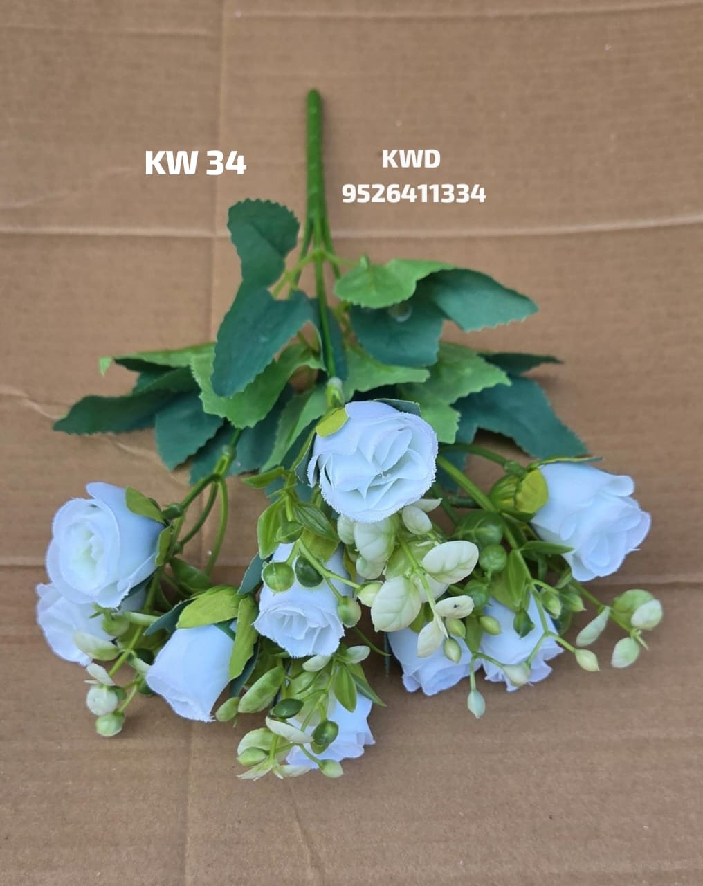 whatsapp image 2026 03 16 at 3.41.56 pm