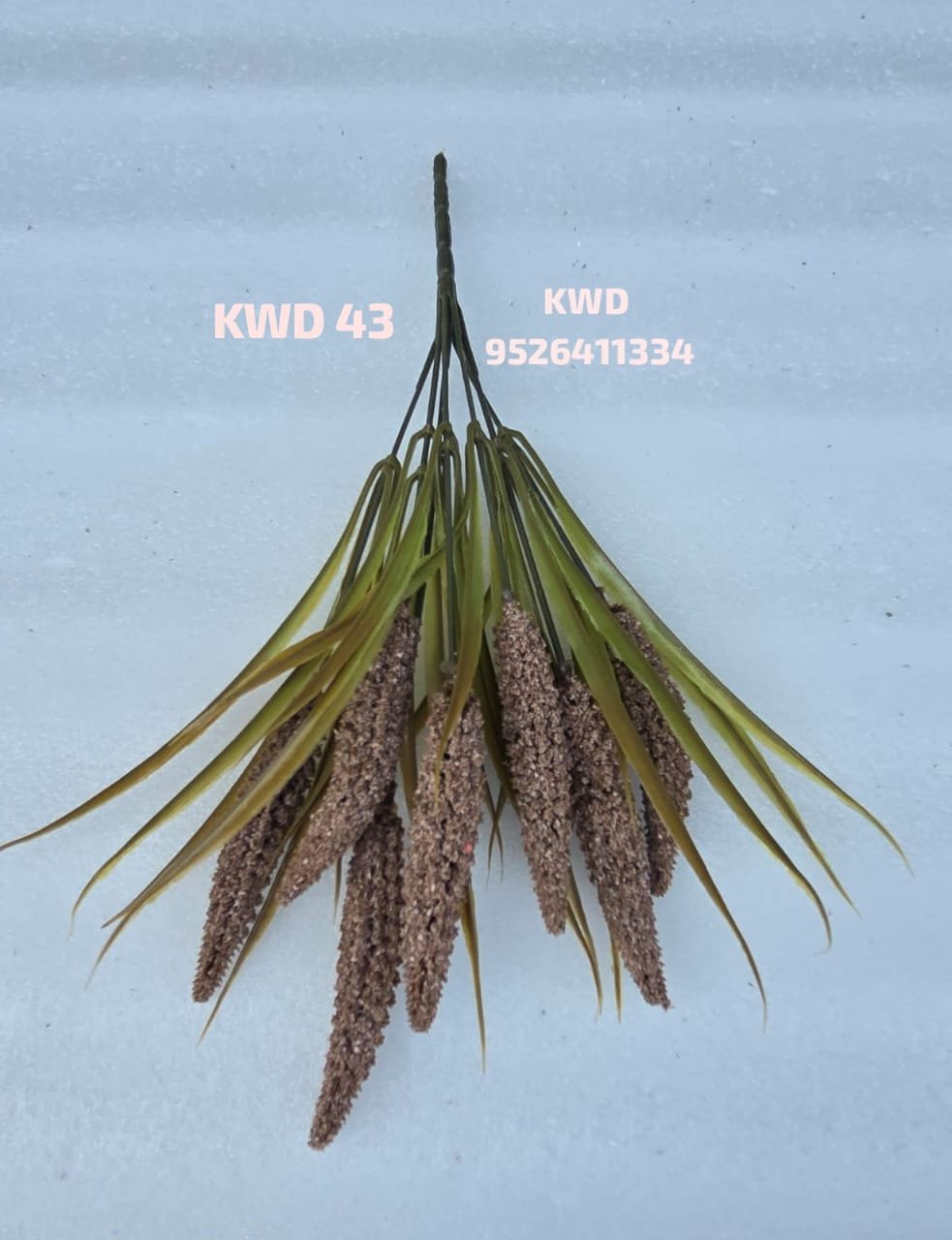 whatsapp image 2026 03 16 at 3.41.58 pm (1)