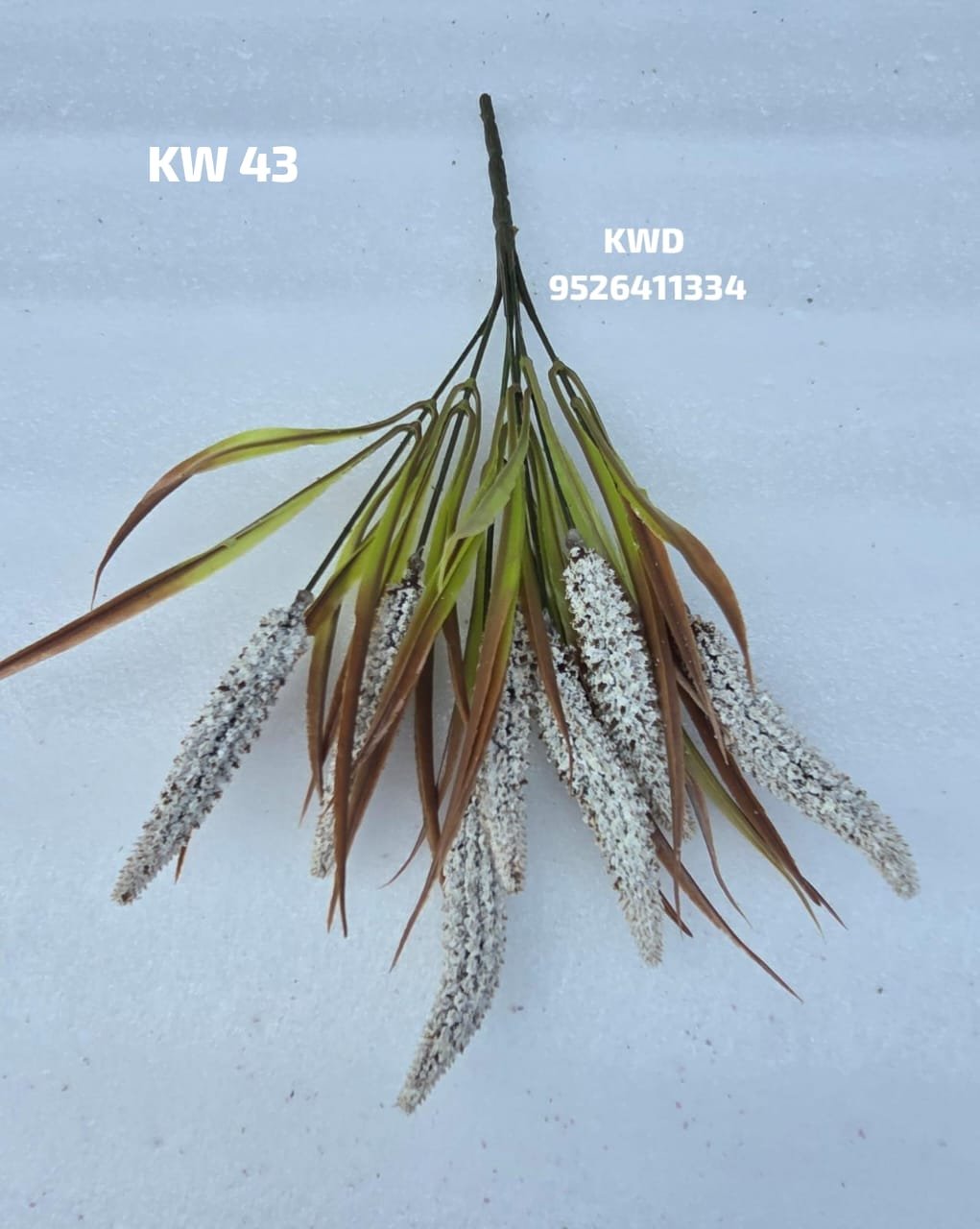 whatsapp image 2026 03 16 at 3.41.58 pm