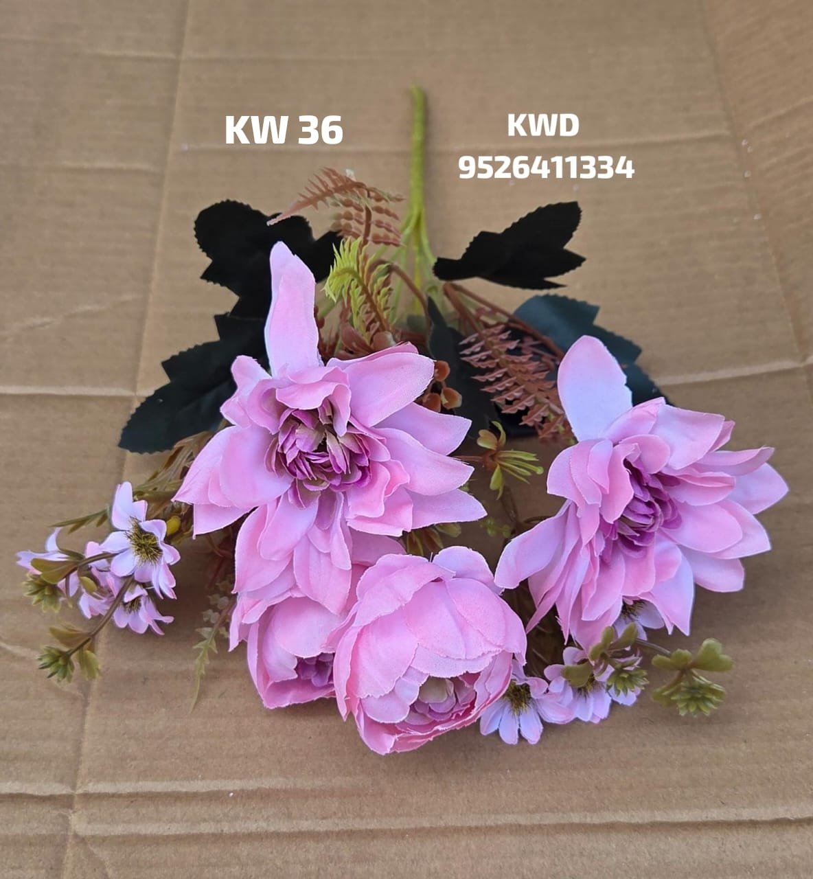 whatsapp image 2026 03 16 at 3.41.59 pm