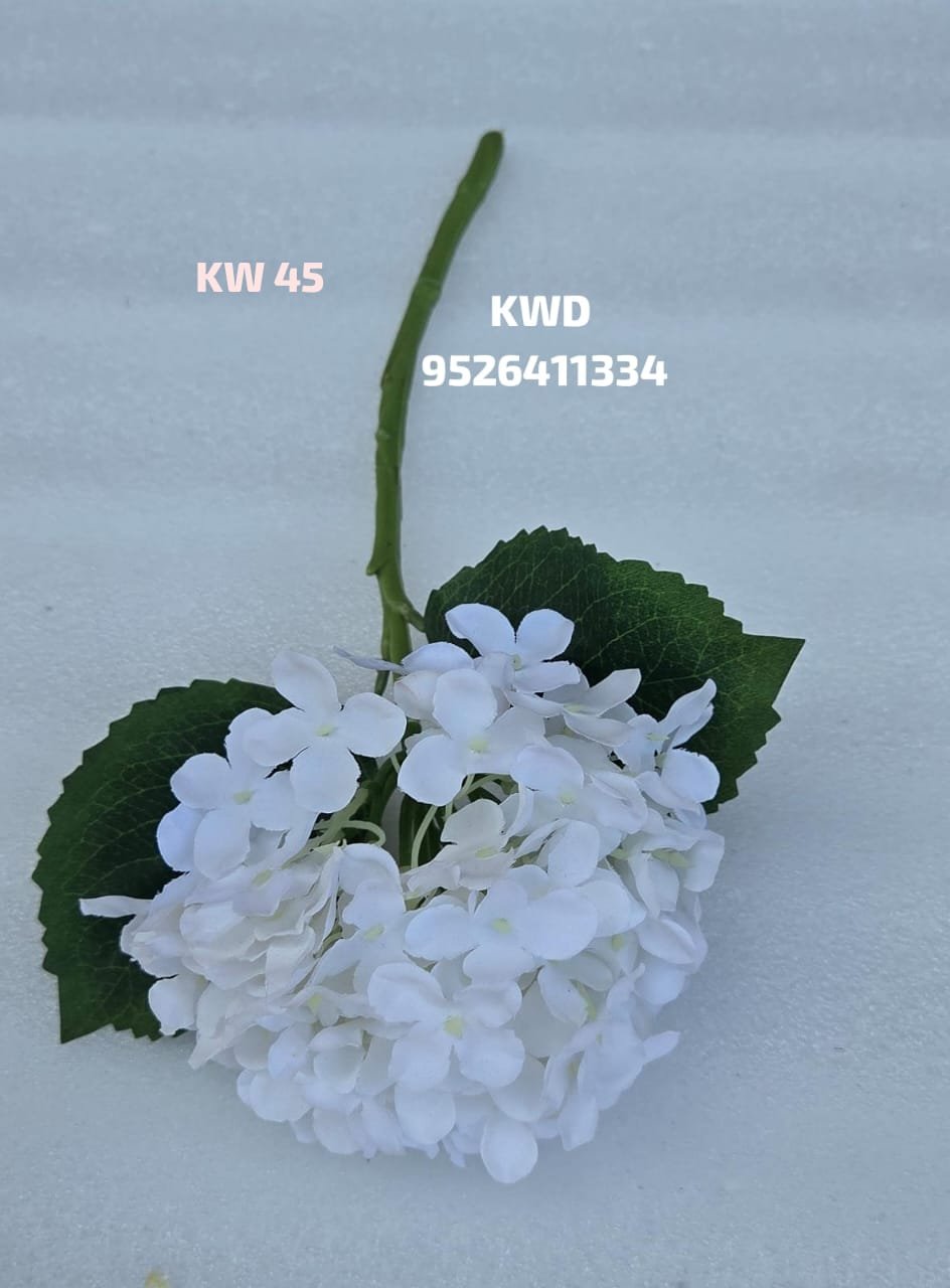 whatsapp image 2026 03 16 at 3.42.00 pm (2)