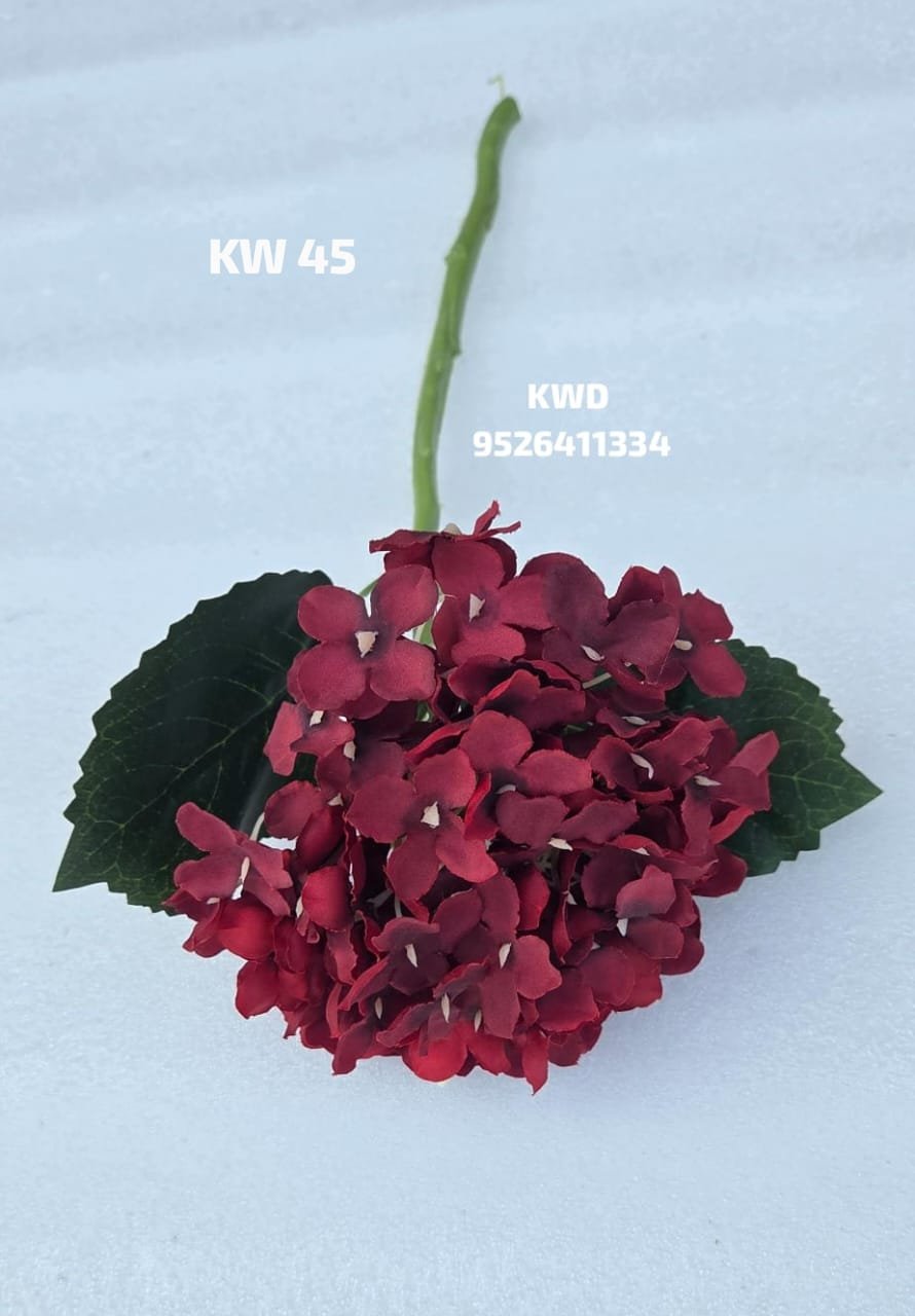 whatsapp image 2026 03 16 at 3.42.01 pm (2)