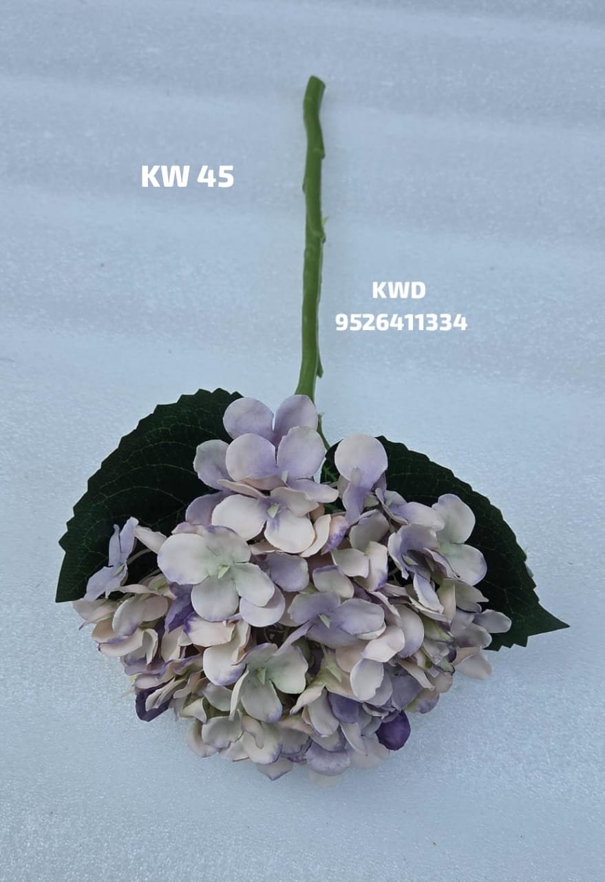 whatsapp image 2026 03 16 at 3.42.02 pm (2)