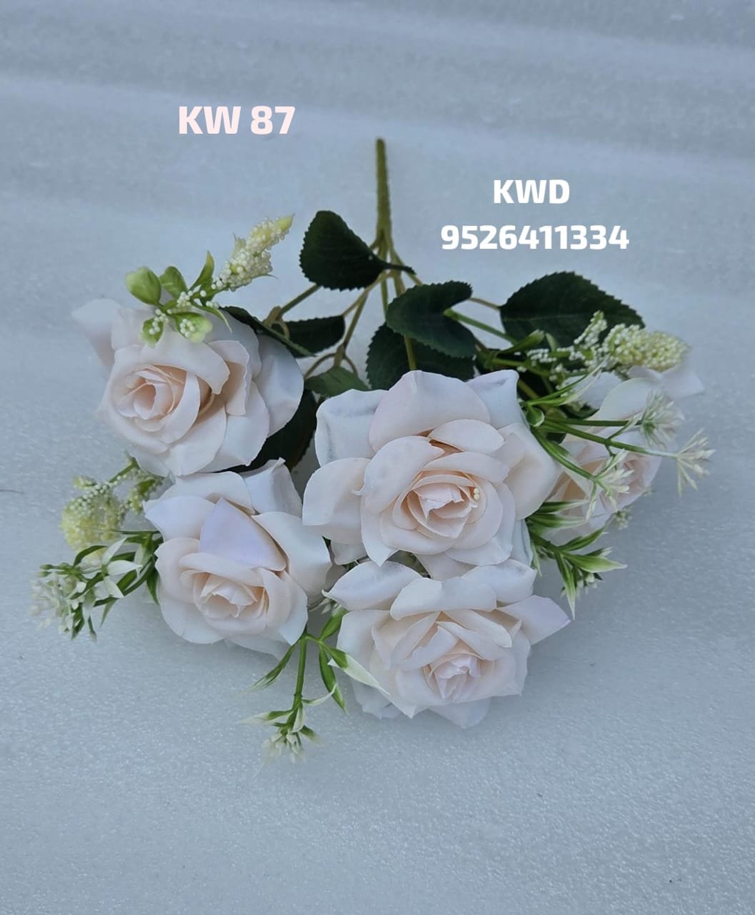 whatsapp image 2026 03 16 at 3.42.04 pm (2)