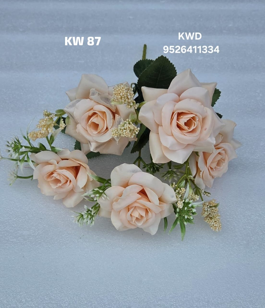 whatsapp image 2026 03 16 at 3.42.05 pm (1)