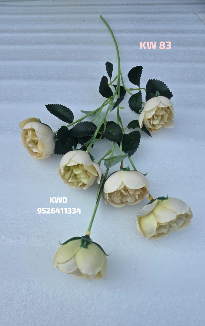 whatsapp image 2026 03 16 at 3.42.05 pm (2)