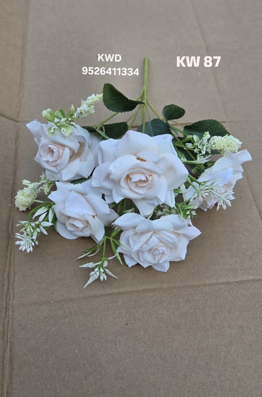 whatsapp image 2026 03 16 at 3.42.05 pm