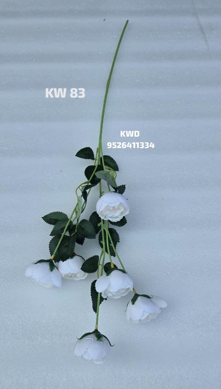 whatsapp image 2026 03 16 at 3.42.06 pm (1)