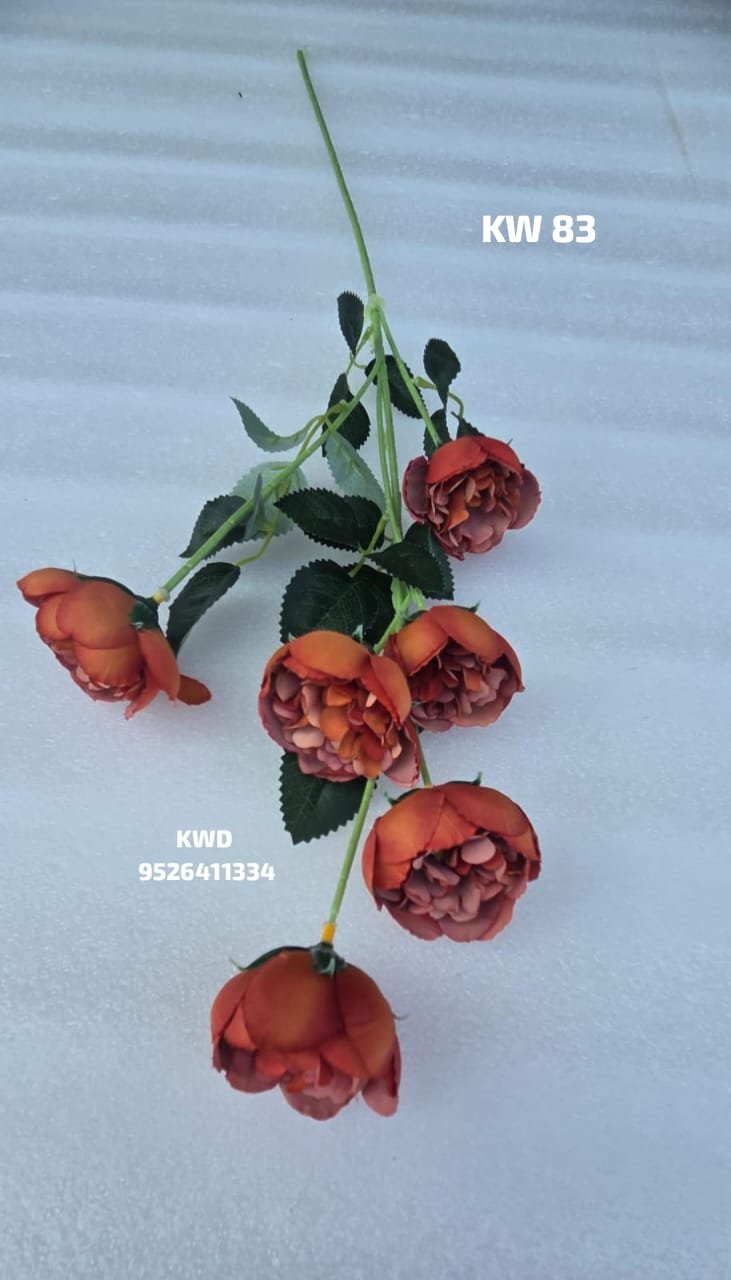 whatsapp image 2026 03 16 at 3.42.06 pm (2)