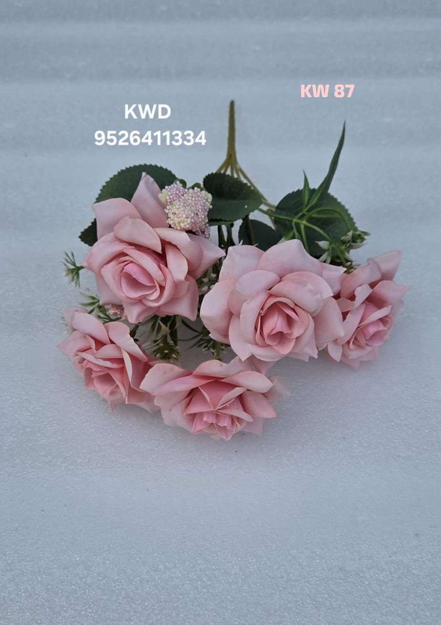 whatsapp image 2026 03 16 at 3.42.06 pm