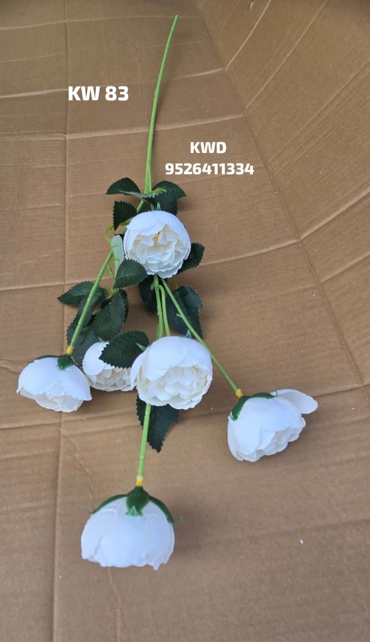 whatsapp image 2026 03 16 at 3.42.07 pm (1)