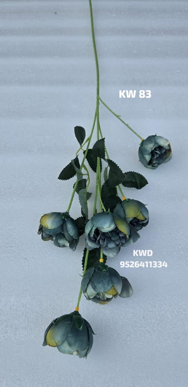 whatsapp image 2026 03 16 at 3.42.07 pm