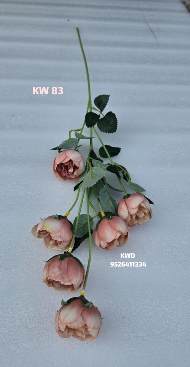 whatsapp image 2026 03 16 at 3.42.08 pm (1)