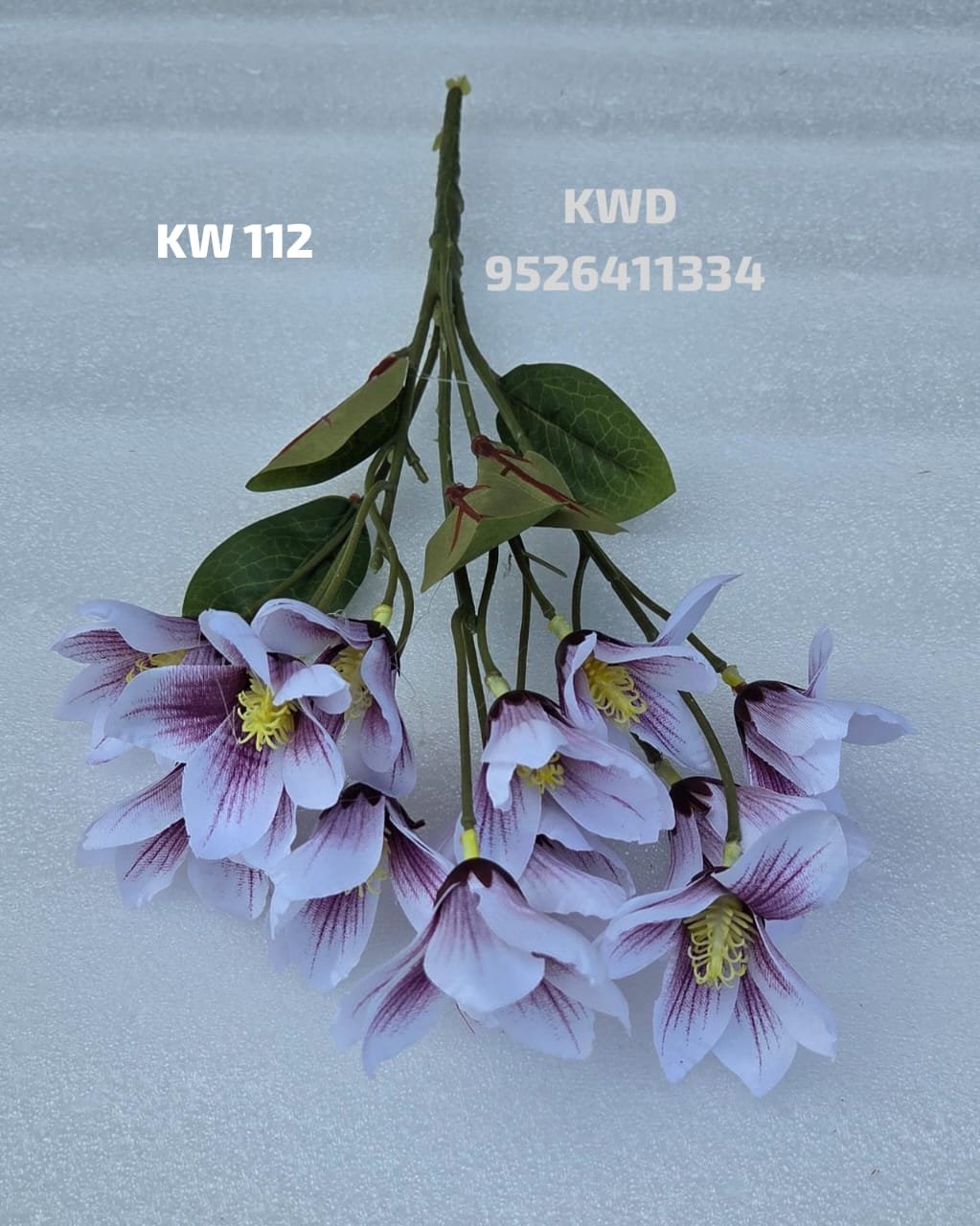 whatsapp image 2026 03 16 at 3.42.10 pm