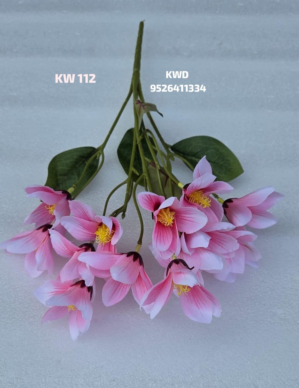 whatsapp image 2026 03 16 at 3.42.11 pm (1)