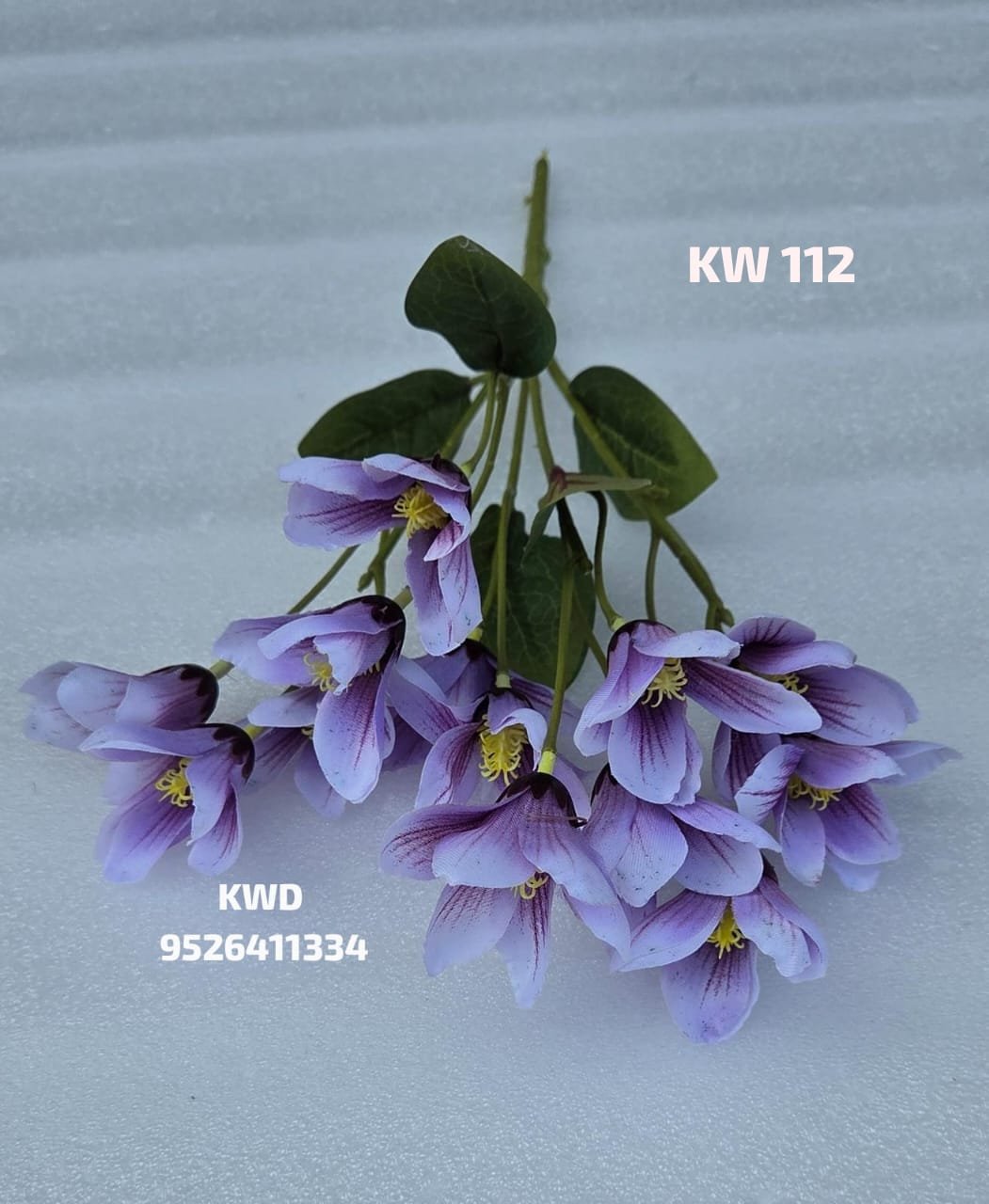 whatsapp image 2026 03 16 at 3.42.12 pm (1)