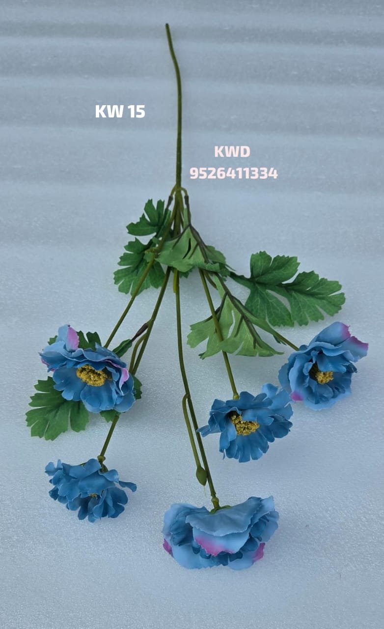 whatsapp image 2026 03 16 at 3.42.13 pm (1)