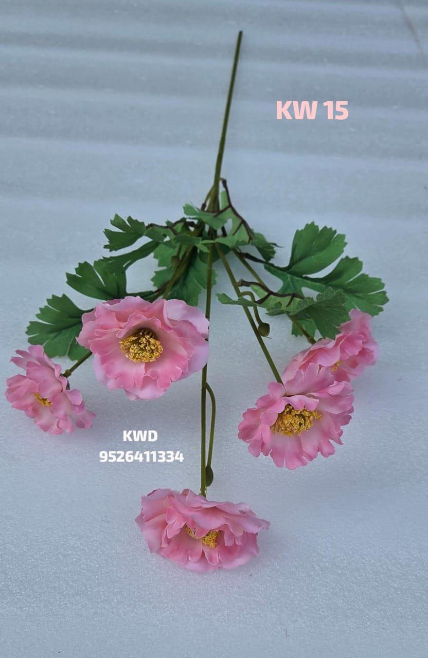 whatsapp image 2026 03 16 at 3.42.13 pm (2)