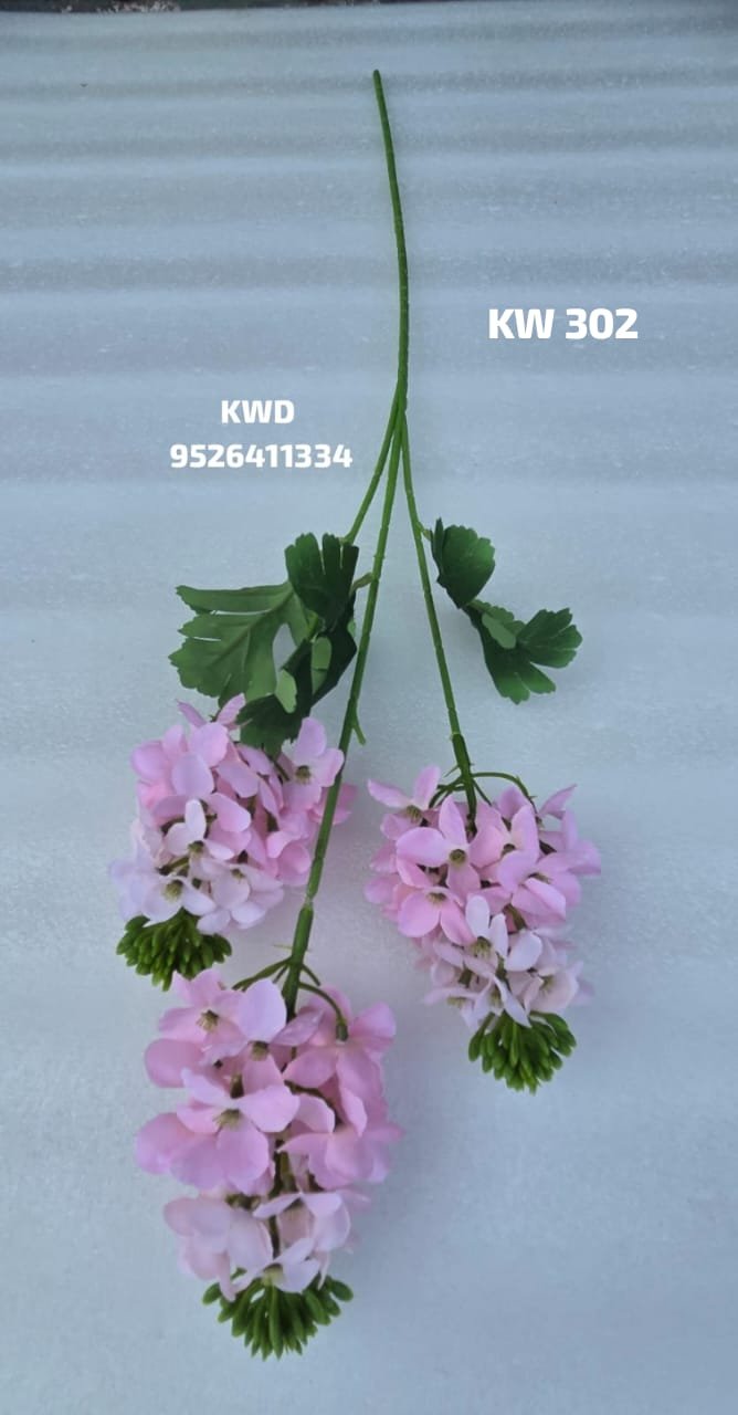 whatsapp image 2026 03 16 at 3.42.14 pm (1)