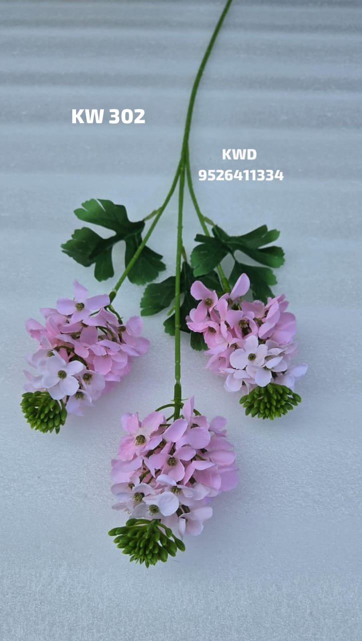 whatsapp image 2026 03 16 at 3.42.14 pm (2)