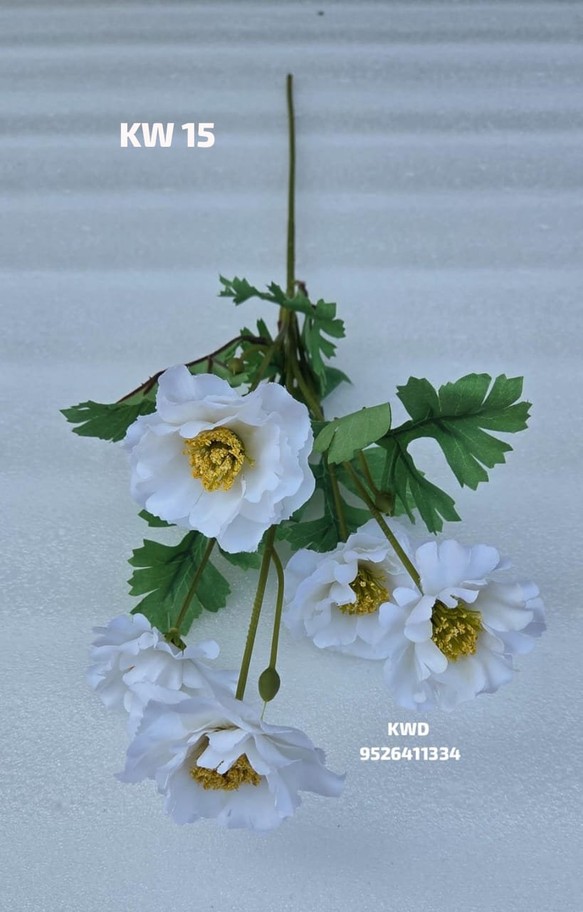 whatsapp image 2026 03 16 at 3.42.14 pm